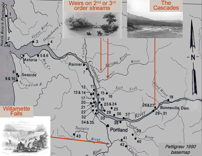 1 Map Of The Lower Columbia River And The Location Of The Observations