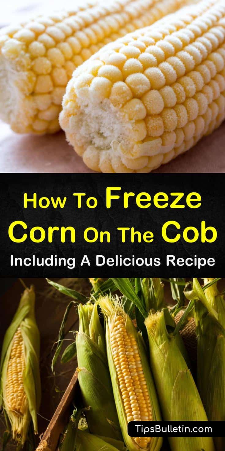 11 Ways To Perfectly Freeze Corn: A Stepbystep Guide