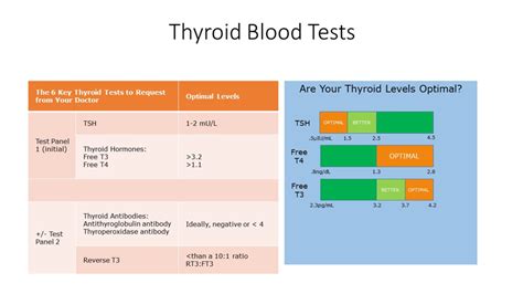 12 Tsh Reflex Secrets For Accurate Results