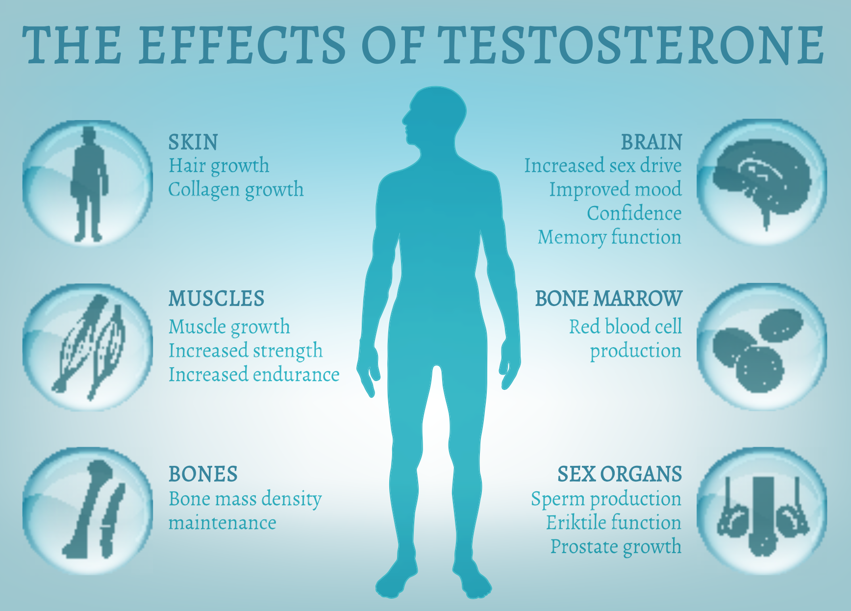 15+ Safe Injection Locations For Testosterone Therapy