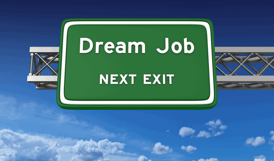 6 Critical Steps To Landing Your Dream Job The Money Alert