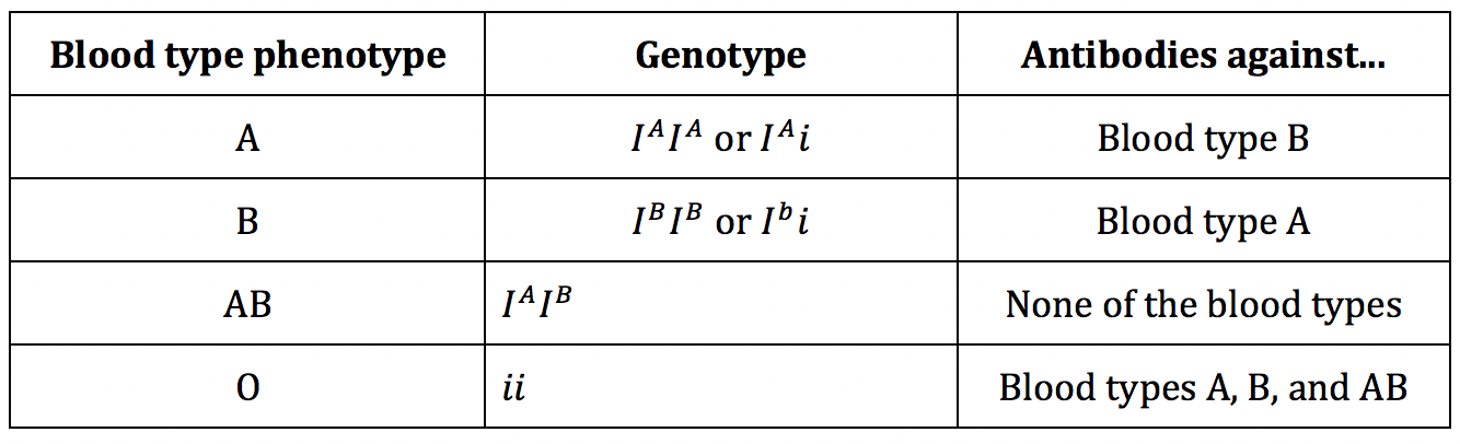 An Introduction To Blood Types Genotype Phenotype Inheritance