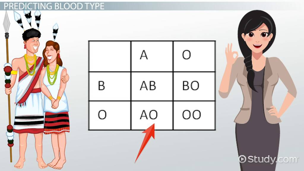 Blood Type Genetics: Unraveling The Secrets Of Heredity