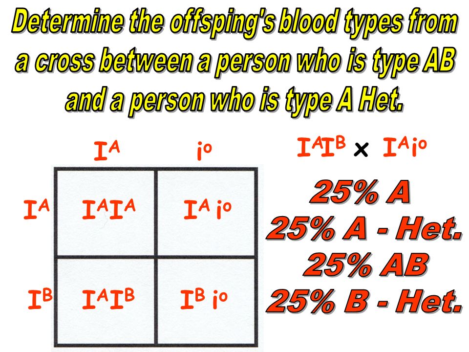 Blood Type Punnett Squares Youtube