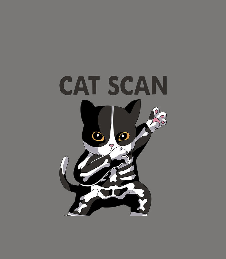 Cat Scan Tech Schools