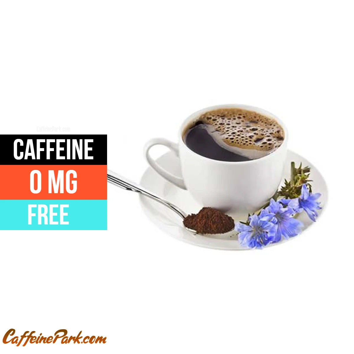 Chicory Coffee Caffeine Content Understanding Your Caffeine Fix