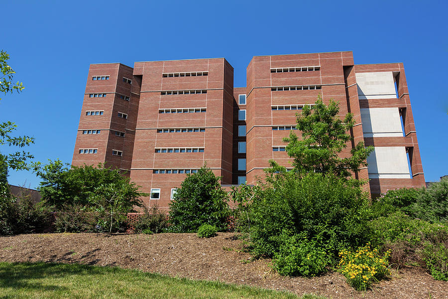 Davis Library At Unc Chapel Hill Photograph By Bryan Pollard Fine Art