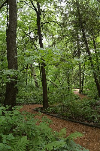 Eloise Butler Garden: Uncover Nature's Treasures