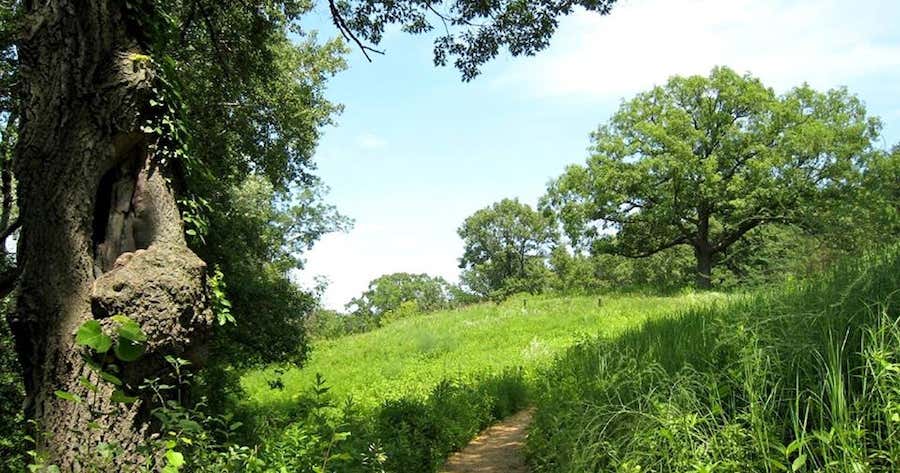 Eloise Butler Wildflower Garden And Bird Sanctuary Minneapolis Mn