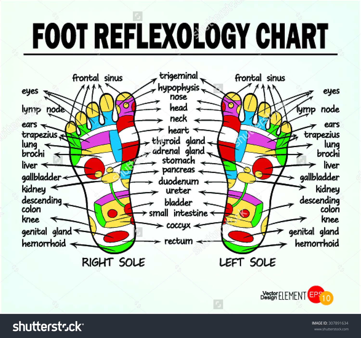 Explore Reflexology: Find A Nearby Natural Pain Relief Expert