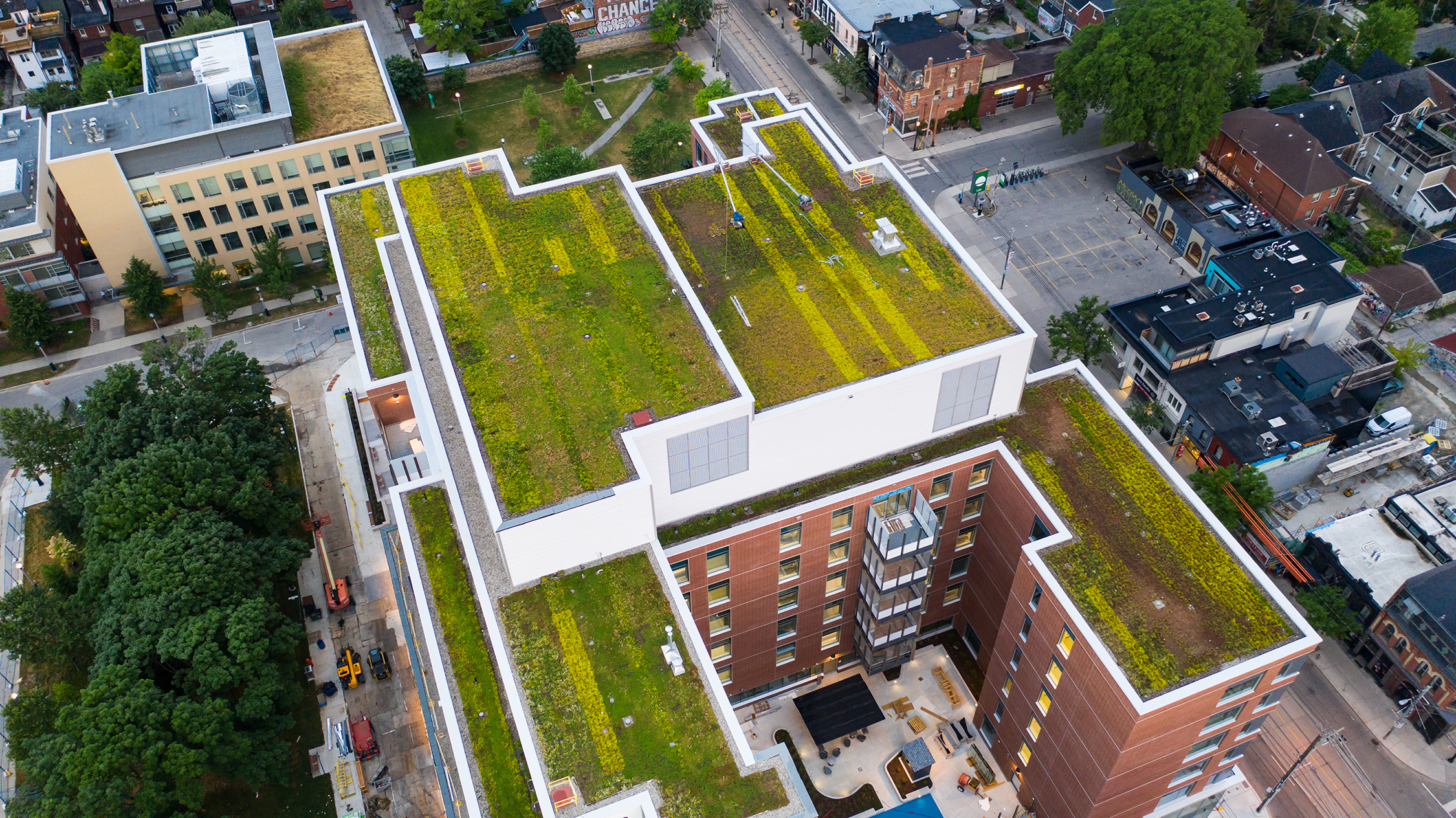 Green Roofs Environment Health And Safety