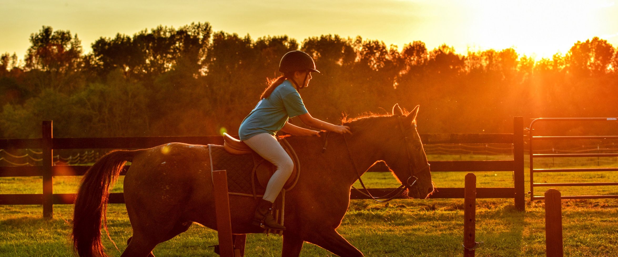 Horse Back Riding Near Me