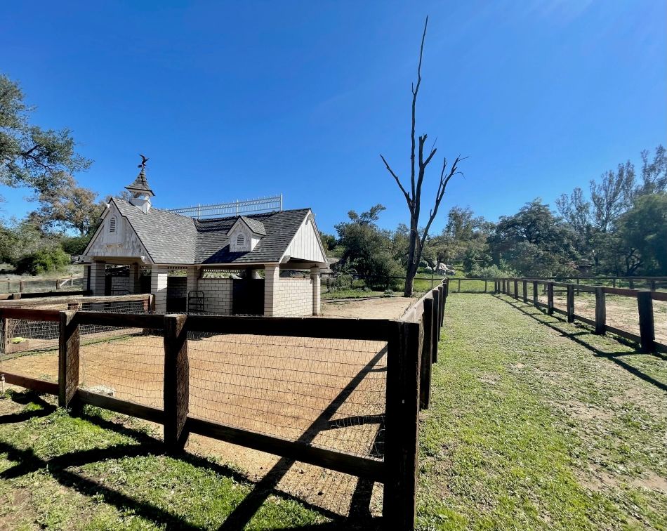 Horse Boarding In East County Olivewood Acres