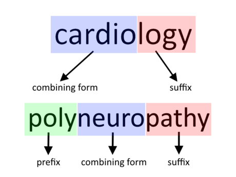 How To Understand Medical Terminology 7 Steps With Pictures