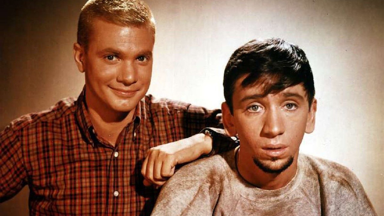 Many Loves Of Dobie Gillis