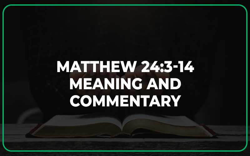 Matthew 24 Birthpains