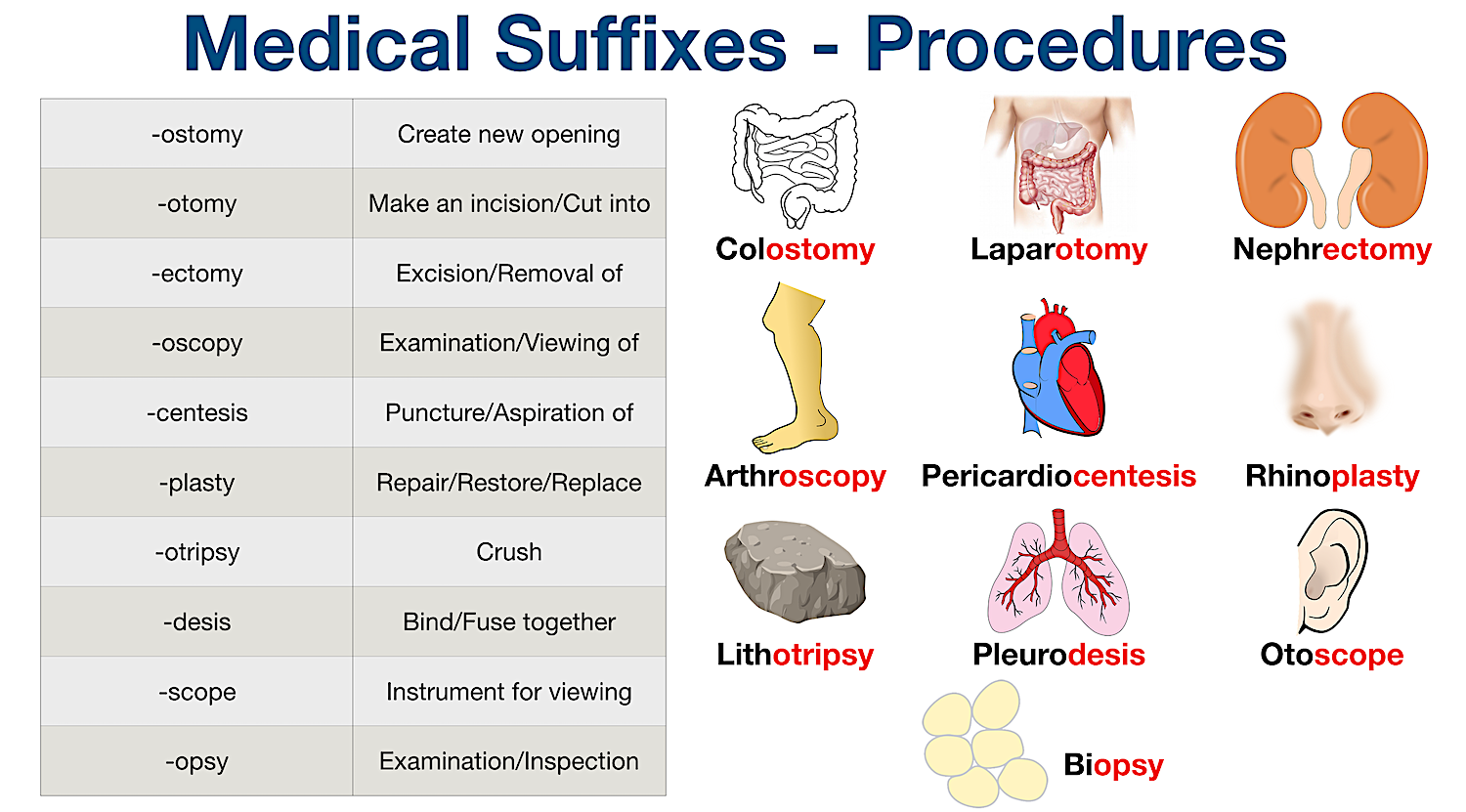 Medical Prefix And Suffix List