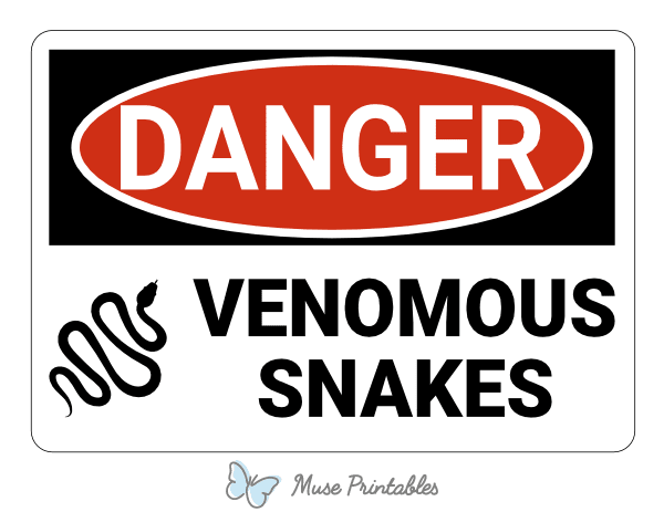 Michigan's Venomous Snakes: Identifying And Avoiding Danger