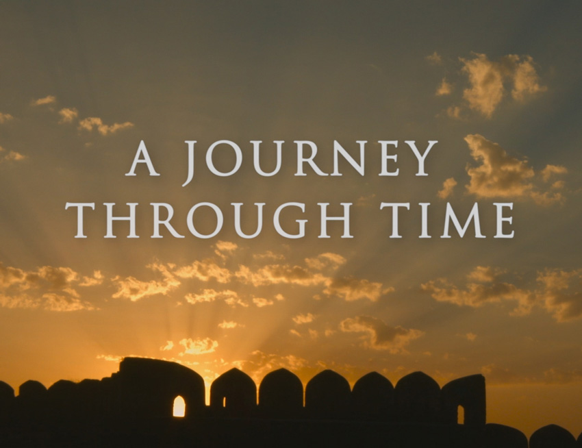 Natural History Insights: A Journey Through Time