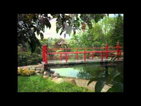 Normandale Japanese Garden: A Peaceful Retreat For Mindful Exploration