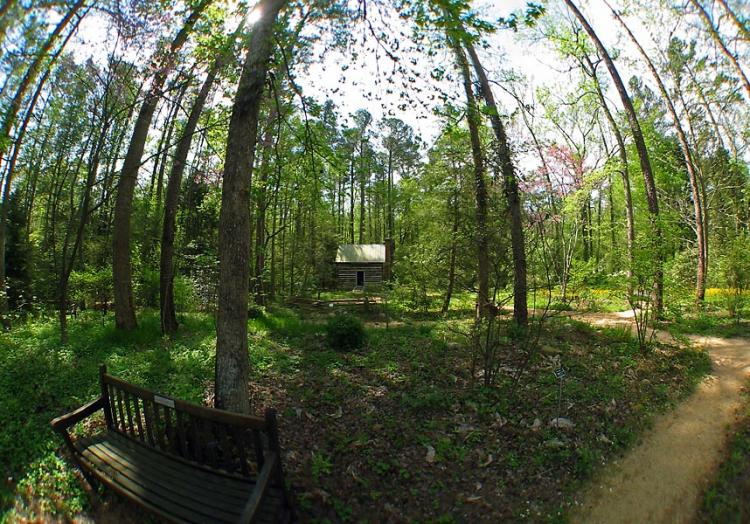 North Carolina Botanical Garden: Unveiling Nature's Beauty In Chapel Hill