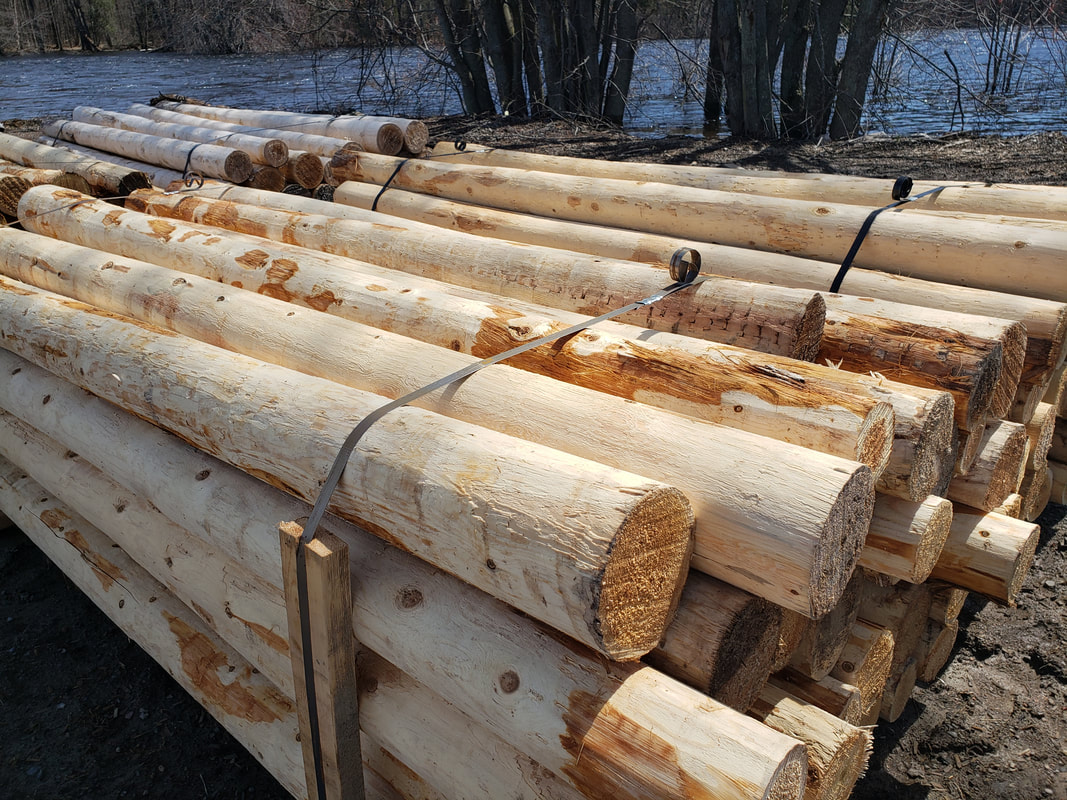 Northern White Cedar: Ultimate Guide To Lumber Mastery