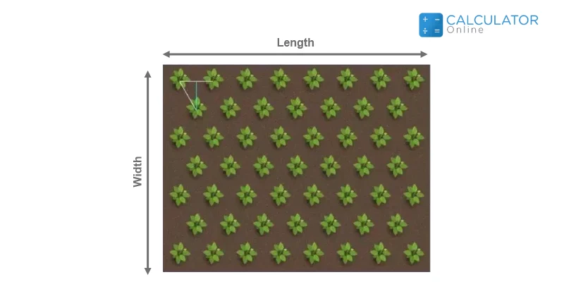 Plant Spacing Calculator