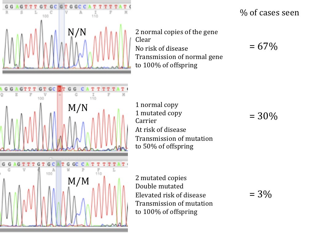 Polysaccharide Storage Myopathy Pssm School Of Veterinary Medicine