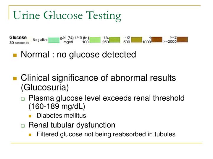 Ppt Clinical Urinalysis Review Powerpoint Presentation Id 807647