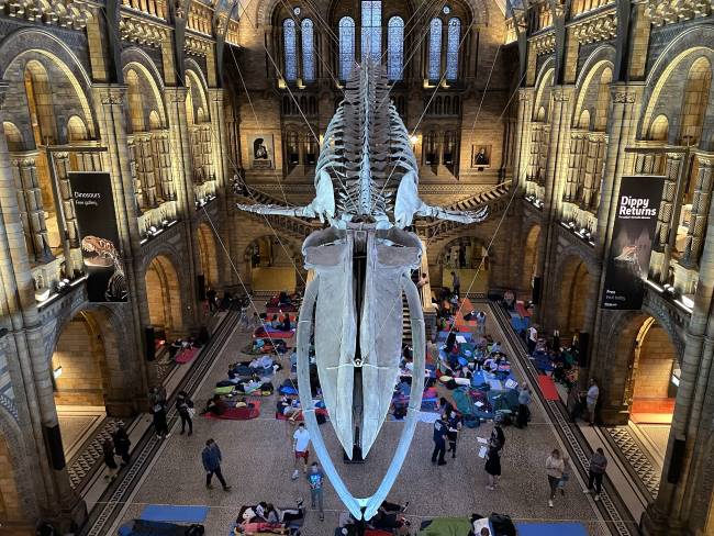 Return To The Natural History Museum London Ecosystems In The Sky