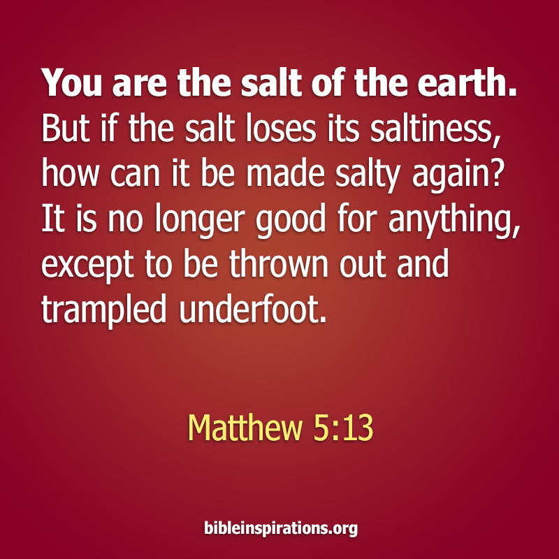 Salt Of The Earth Bible