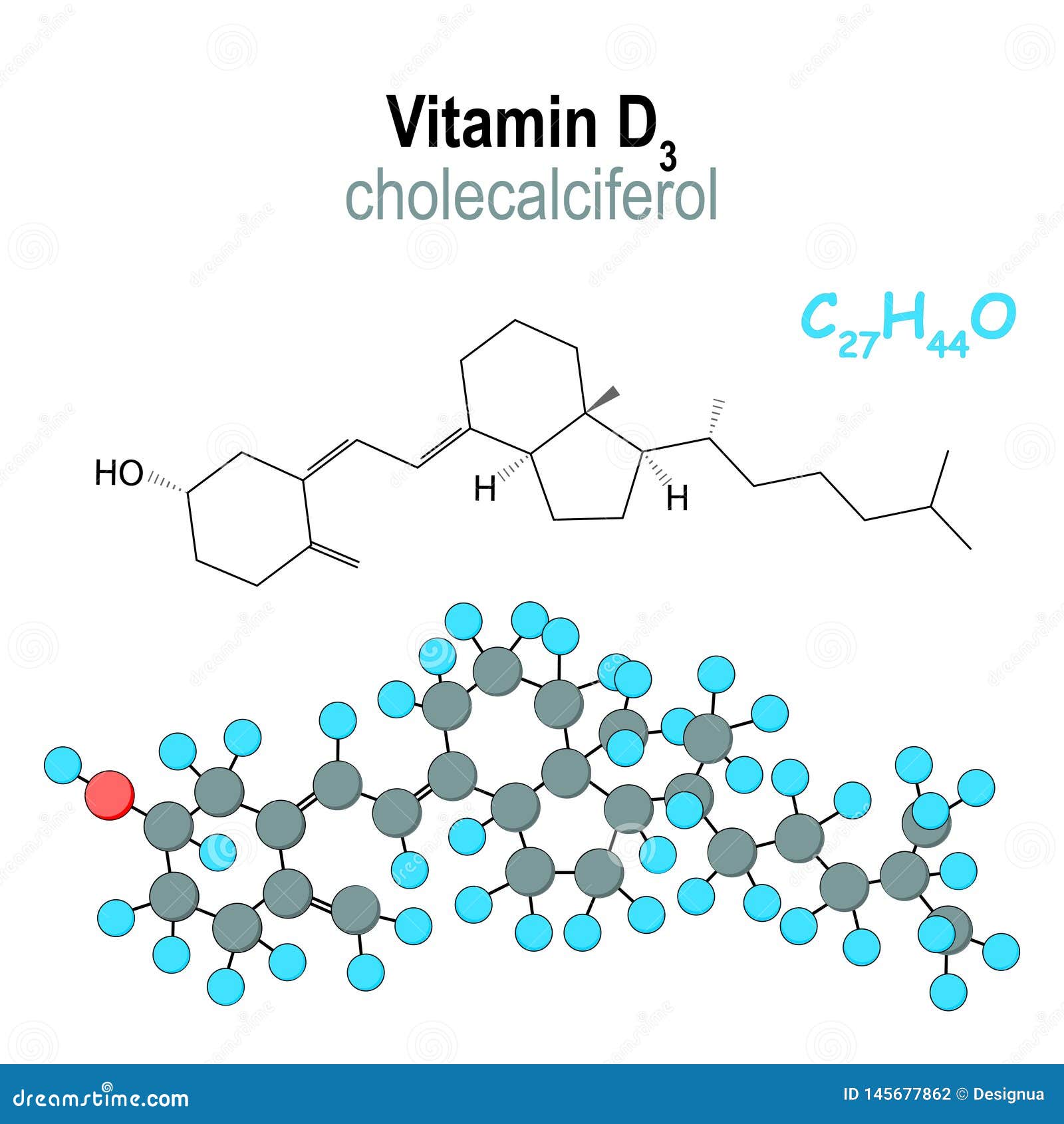 Structure Of A Steroid