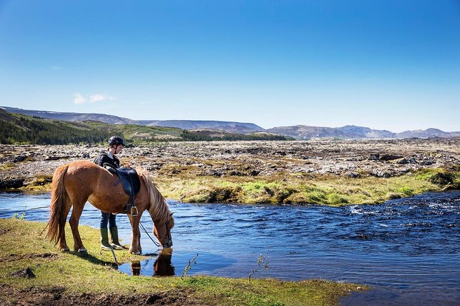 The 10 Best Iceland Horseback Riding Tours With Photos