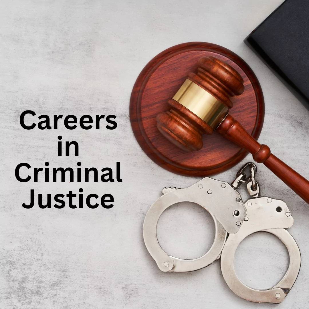 The Top Criminal Justice Careers Bizcatalyst 360