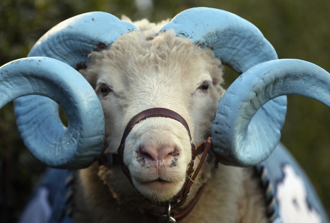 The Unc Tarheel Mascot: Unveiling The Iconic Symbol