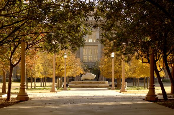 The University Of Texas School Of Law Llm Guide