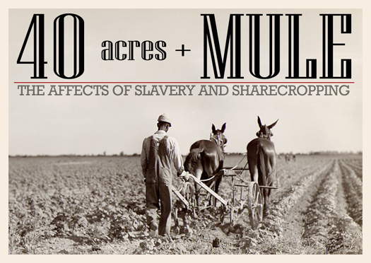 Thy Fallacy Of 40 Acres And A Mule Thyblackman