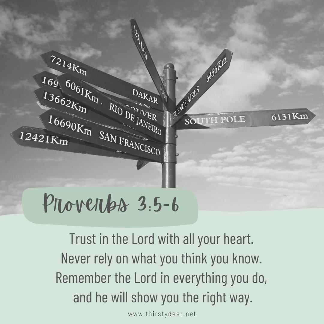 Trust In The Lord What Does Proverbs 3 5 6 Really Mean