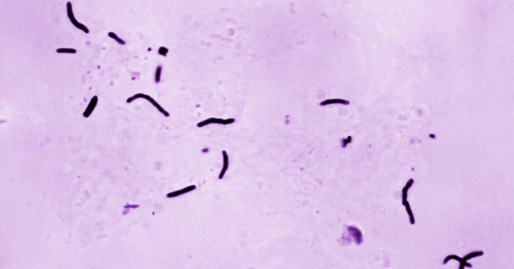 Tuberculosis Outbreak In Kansas