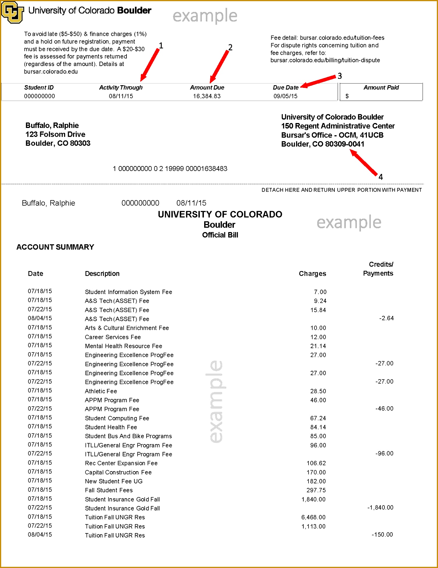 Tuition Bill Template