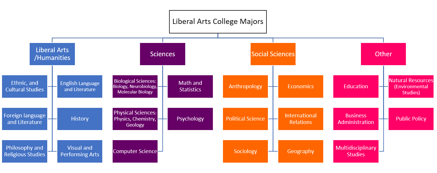 What Are Liberal Arts Majors? Choosing The Right Path