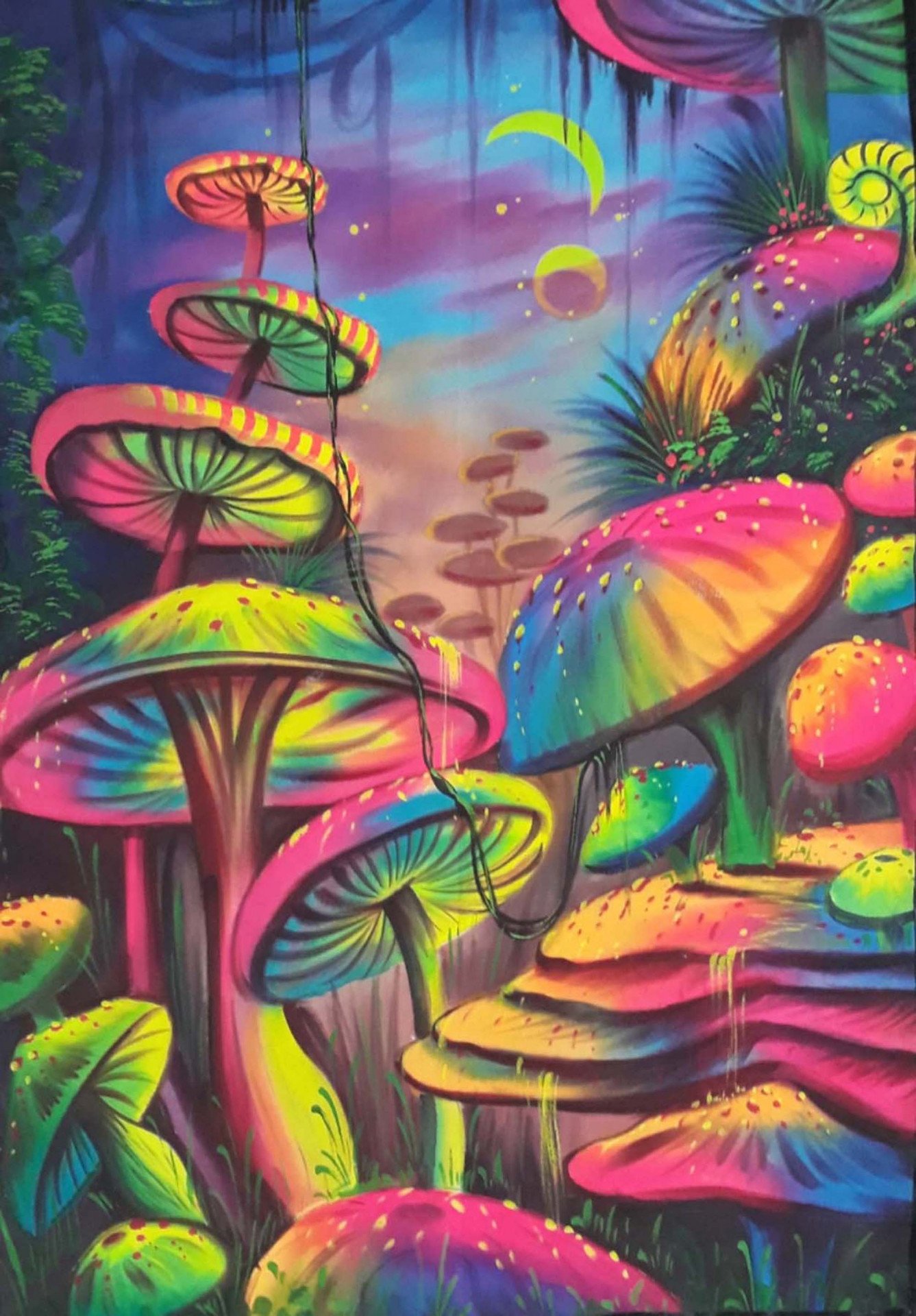 What Makes Magic Mushrooms So Trippy? A Visual Exploration