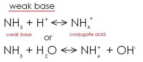 What Makes O A Weak Base? Understanding Chemical Strength