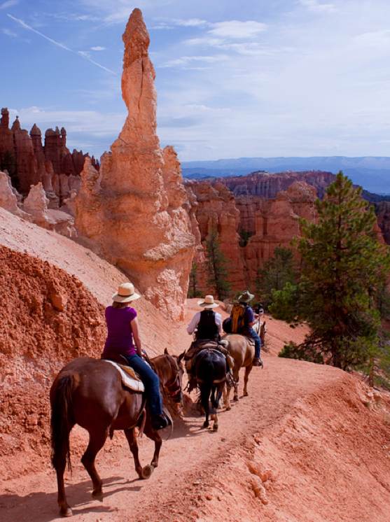 What's The Best Way To Find Horseback Rides Nearby? Riding Tips