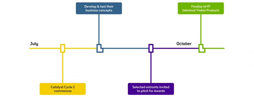 When To Apply: A Catalyst Timeline For Your Future