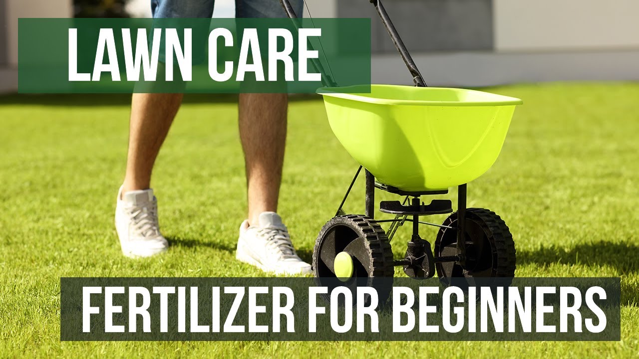 When To Apply Fertilizer For Grass? A Simple Guide